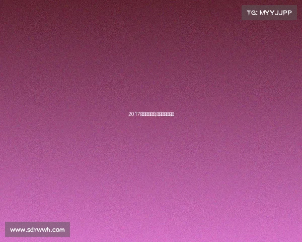 2017合肥大型赛事;合肥赛车锦标赛