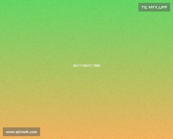 恒大2017年赛事2017年的恒大